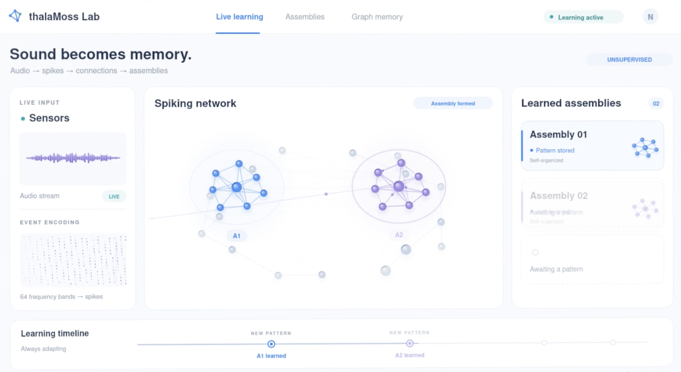 ThalaMoss Lab interface showing sensor input, a spiking network, learned assemblies, and a learning timeline